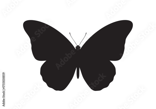 Silhouette of a butterfly with spread wings and antennae a insect