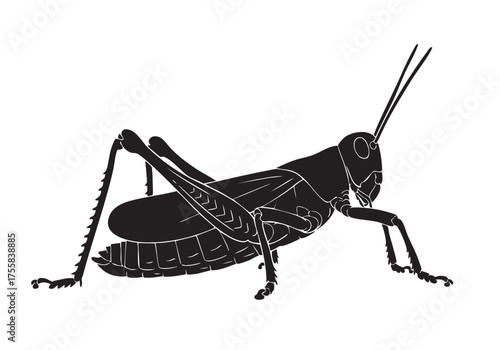 Silhouette of a grasshopper with detailed legs and antennae a insect animal