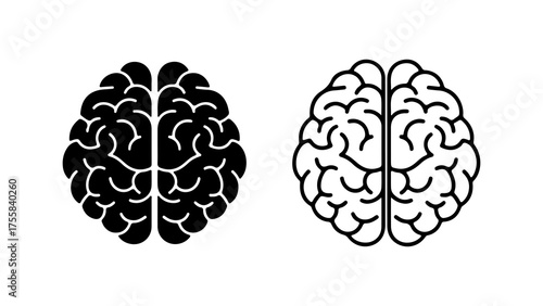 Human brain outline and solid with transparent background