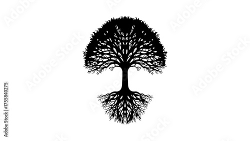 Tree with roots and branches with transparent background