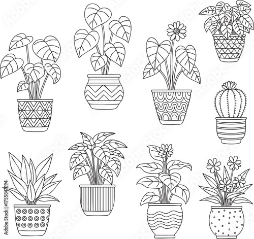 Black and white line art illustration set of various indoor plants in patterned pots.