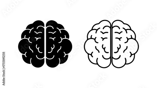 Brain anatomy outline and solid with transparent background