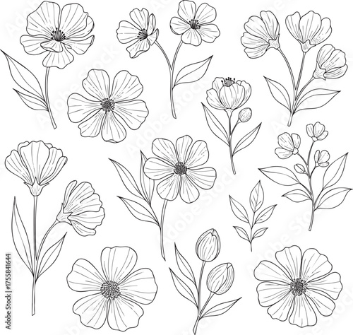 Wallpaper Mural Handdrawn floral collection with various flowers leaves and stems in a simple black line art style. Torontodigital.ca