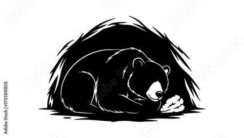 Bear in cave with transparent background