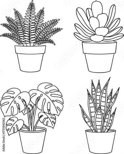 Set of four popular potted houseplants in a simple black and white line art style.