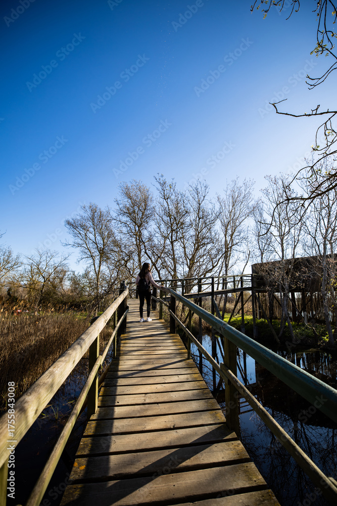 Fototapeta premium A serene wooden bridge beckons, inviting exploration of the tranquil natural landscape with a lone traveler enjoying the peaceful beauty and clear blue skies