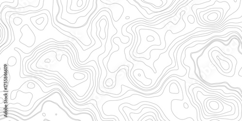 Topographic map and landscape terrain Topographic map and landscape terrain Topographic map lines, vector design on transparent background.