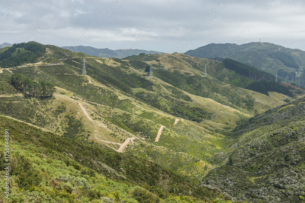 Fototapeta premium ニュージーランド ウェリントンのスカイライン・ウォークウェイからの風景