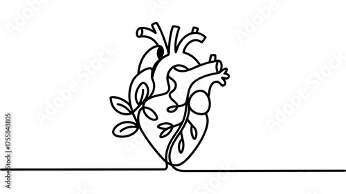 Vector art of anatomical heart with leaves in line art style
