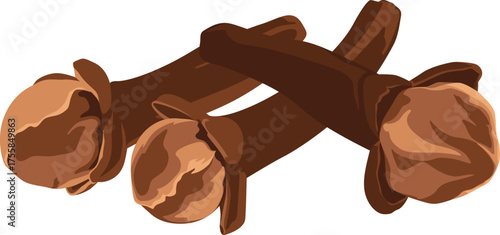Three clove spices, brown in color, are overlapping on a white background.