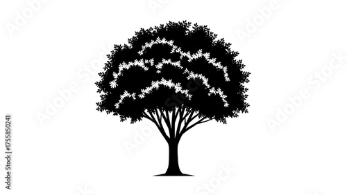 Striking silhouette of a mature deciduous tree with a dense, rounded canopy, symbolizing natural growth, ecological harmony, and enduring vitality