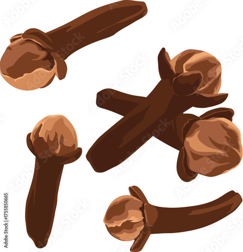 Illustration of several brown cloves scattered on a white background, showcasing their distinctive shape and texture.