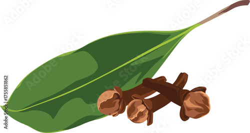 Illustration of a green leaf alongside a small pile of brown, dried cloves.