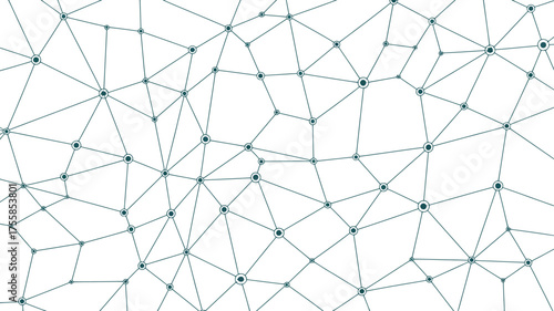 A network of interconnected lines and circles on a white background creating a complex web pattern