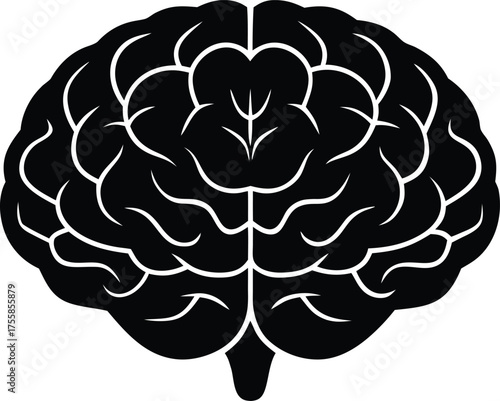 human brain with detailed folds and anatomy, medical illustration