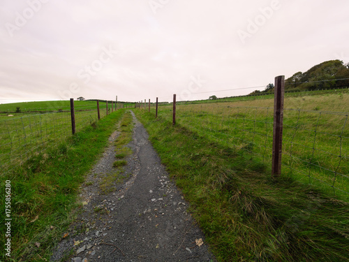A wide-angle view of a country road stretching through the open fields.