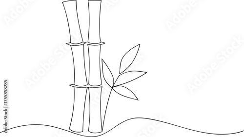 Minimalist black line drawing of bamboo stalks and leaves