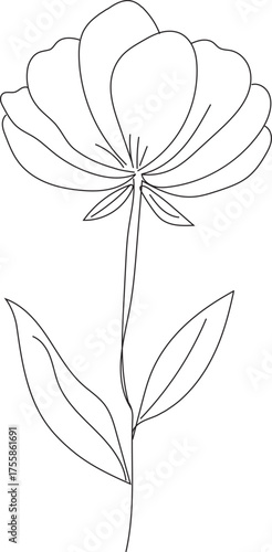 hand drawn flower