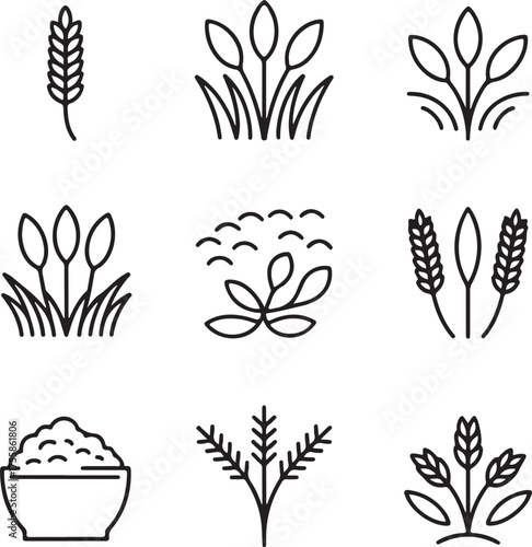 rice, wheat, grain, icon, set, outline, agriculture, food, simple, minimalist, modern, farm, harvest, organic, natural, healthy, plant, nature