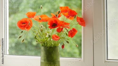 Red poppy flowers and buds in a vase blooming on a windowsill as a background for a holiday.