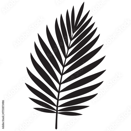 Black silhouette of a palm frond on a white background