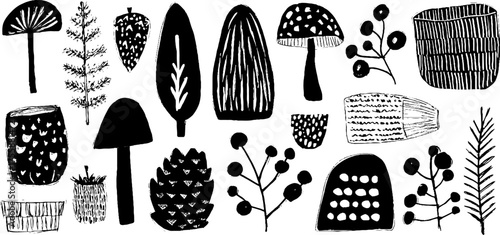 Autumn nature collection: leaves, mushrooms, acorns, and more for rustic designs