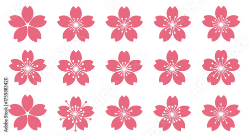 Collection of pink cherry blossom flowers arranged on a white surface, creating a simple floral.