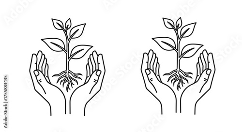 Two hands are holding a small plant with roots, symbolizing growth, care, and environmental.