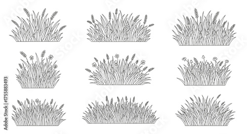 Nine tufts of grass are arranged in a grid, each with slightly different shapes and textures on a.