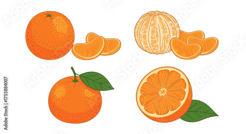 A delightful assortment of fresh citrus fruits showcasing whole oranges segments and a peeled tangerine variety.