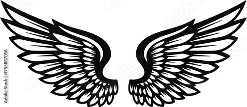 A symmetrical pair of black and white stylized angel wings with detailed feathers, isolated on a white background.