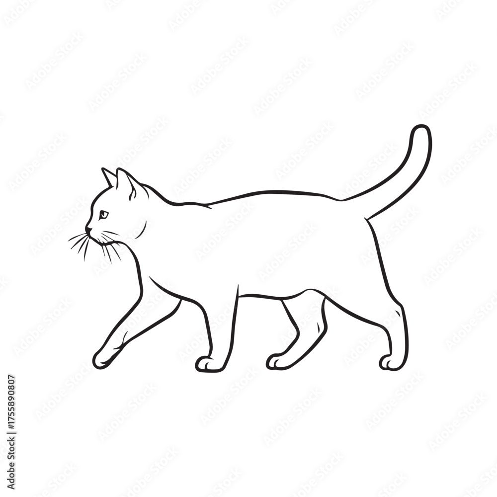 Fototapeta premium A simple black and white line art illustration of a domestic cat walking in profile on a plain background.