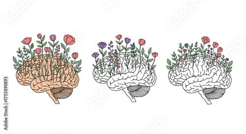 The blossoming mind growth and development of ideas and creativity.