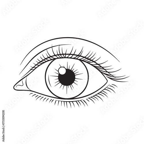 A detailed black and white line art illustration of a single human eye with long eyelashes on a white background.