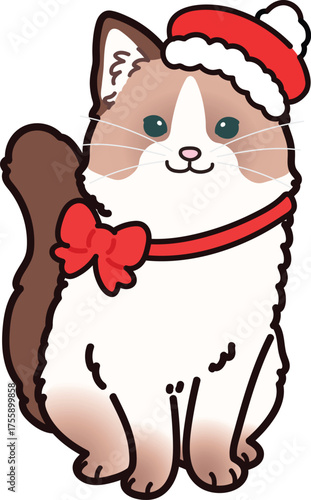Simple and adorable Christmas illustration of ragdoll sitting in front view