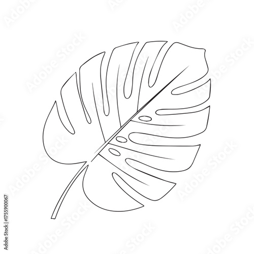 Line drawing of a Monstera leaf with characteristic splits and holes, isolated on a white background.