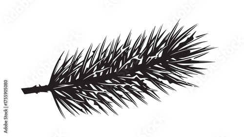 Icy Pine Branch Silhouette with Saw-Tooth Needles, Sharp Black Evergreen Icon for Winter Wreaths, Forest Decor, and Seasonal Nature Designs