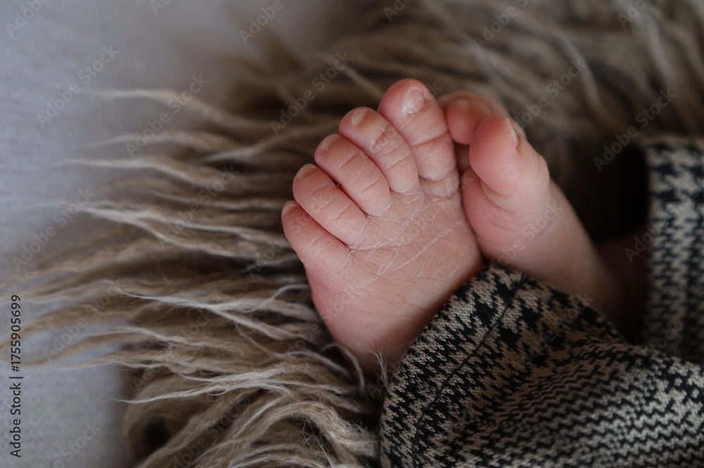 Fototapeta premium noworodek