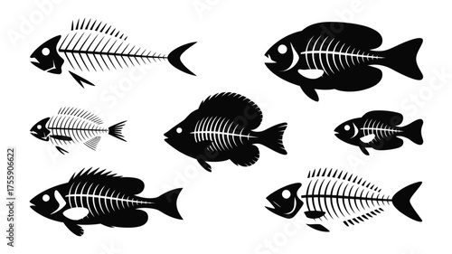 Diverse fish skeletons vector illustration set scalable eps icons aquatic marine life collection vector illustration white background