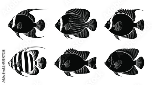 Set of six detailed tropical fish silhouettes vector illustration scalable icon for eps files vector illustration white background