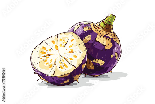 Cut of taro background isolated