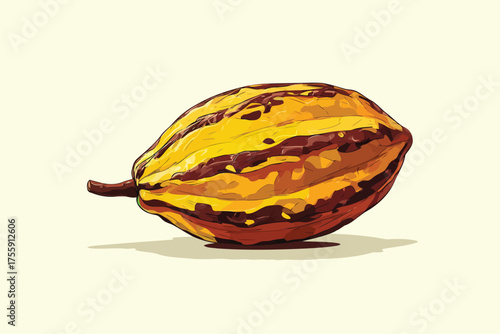 half cocoa pod organic isolated