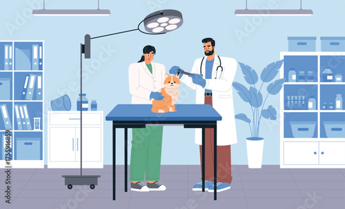 Cute cat in vet office. Doctor appointment, professionals examine pet, veterinary clinic, therapy center for animals, vector illustration