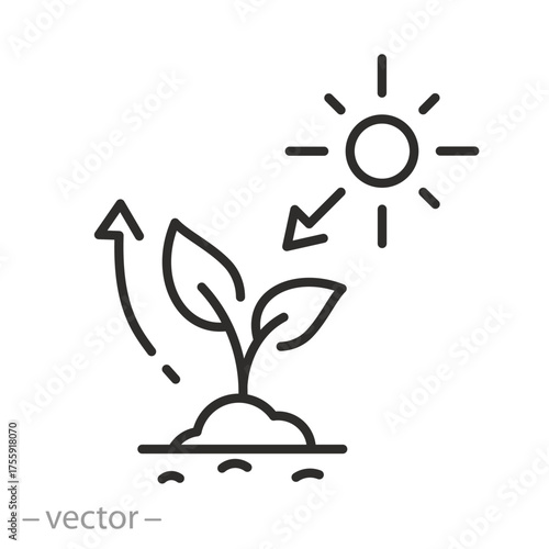 photosynthesis icon, vector illustration eps 10