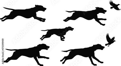 Silhouettes of running dogs chasing flying birds in dynamic motion, symbolizing wildlife, hunting, energy, speed, animal behavior, and nature illustration