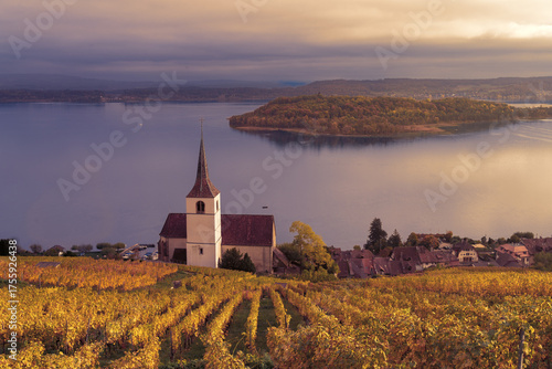 Photography The reformed pilgrimage church in Ligerz Village in golden autumn vinyards at la