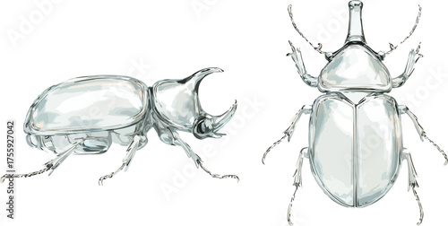 3D Crystal Beetle Transparent Design