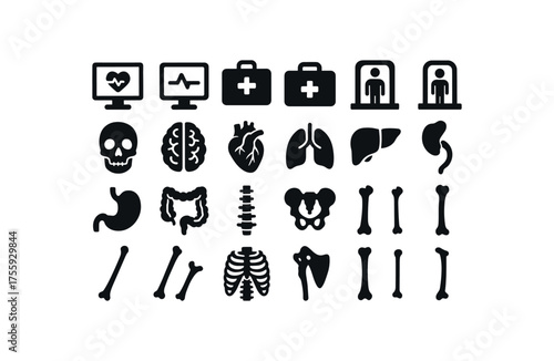 vector solid black filled icons Healthcare (anatomy) screen on screen off case open case closed scan active scan inactive skull model brain model heart model lung model liver model kidney