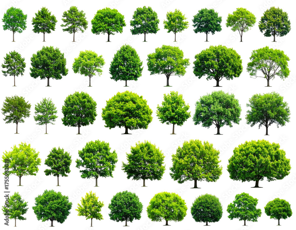 Fototapeta premium A diverse collection of isolated, lush green tree cutouts against a stark black backdrop