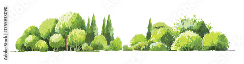 Vector watercolor green lush or forest side view isolated on white background for landscape and architecture drawing,elements for environment or and garden,Shrub for section